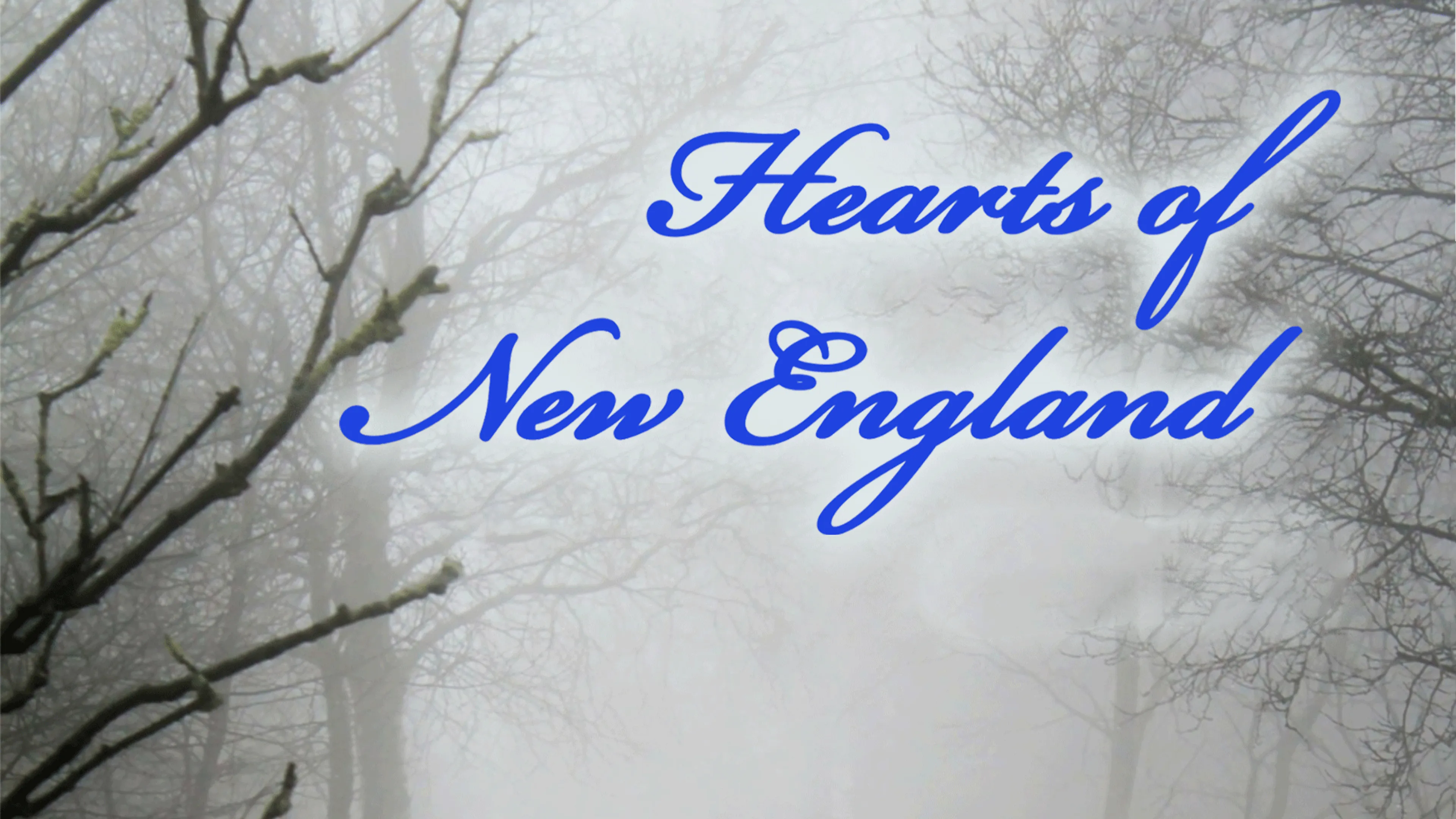 Hearts of New England poster